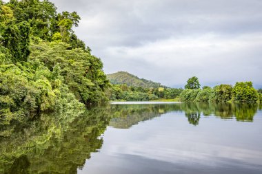 Daintree Nehri 'nin sakin suları kıyıları boyunca yemyeşil tropikal yağmur ormanlarını yansıtır. Yükselen ağaçlar ve canlı yeşillikler bu ikonik Queensland manzarasının dingin güzelliğini, biyolojik çeşitliliğini ve tropikal çekiciliğini gözler önüne sererek mükemmel bir şekilde yansıtılır.