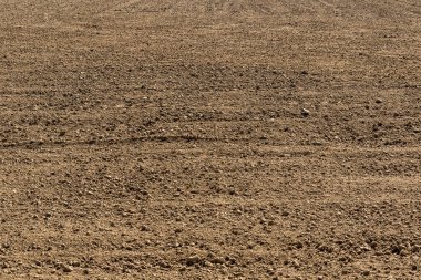 Taze sürülmüş bir tarla, tarım arazisi boyunca uzanır, yeni ekinlerin ekilmesi için düzgün çizgileri hazırdır. Zengin toprak ve açık kırsal alan tarım hayatının ritmini ve yeni bir büyüme mevsiminin vaadini yansıtıyor..