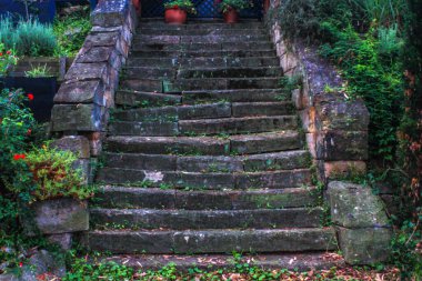 Antik taş basamaklar, yıpranmış ve canlı yeşil yosunlarla kaplanmış, yemyeşil bir bahçe ortamında yol gösteriyor. Çiçekli bitkiler ve yapraklı yapraklarla çerçevelenen bu yol, huzurlu bir ortamda sessiz bir keşfi davet ederek zamansız bir dinginlik hissi uyandırıyor..