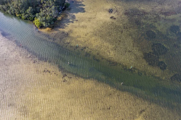 Forster 'ın New South Wales' in kuzey sahilindeki nefes kesici hava manzarası turkuaz okyanus suları, beyaz kumlu plajlar ve Forster ve Tuncurry 'yi birbirine bağlayan köprü. Manzaralı kıyı şeridi şehirlerin rahat kıyı yaşam tarzını ön plana çıkarıyor