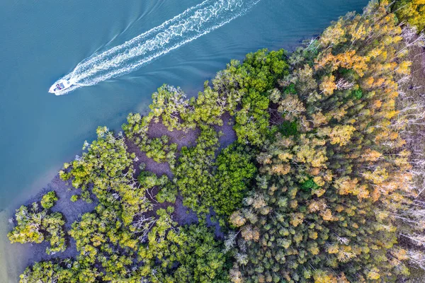 New South Wales 'in kuzey kıyısındaki Forster' daki karavan parkında nefes kesici bir hava manzarası. Manzaralı kıyı şeridi şehirlerin rahat kıyı yaşam tarzını ön plana çıkarıyor