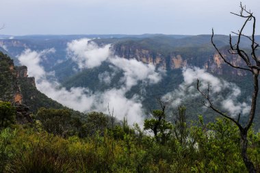 Avustralya, Yeni Güney Galler 'de Anvil Hill Gözcüsü. Yükselen görüş açısı geniş vadiler, yuvarlanan tepeler ve doğal çalılıklar boyunca bölgenin doğal güzelliklerini yansıtıyor.