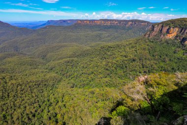 Mavi Dağlar 'daki Echo Point manzarası Jamison Vadisi' ne bakan geniş ormanları, kumtaşı kayalıkları ve dramatik doğal manzarası var..