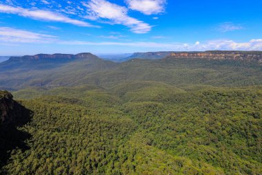 Mavi Dağlar 'daki Echo Point manzarası Jamison Vadisi' ne bakan geniş ormanları, kumtaşı kayalıkları ve dramatik doğal manzarası var..