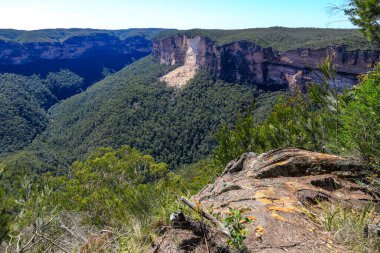 Mavi Dağlardaki Evans Gözcüleri 'nden Grose Vadisi' nin manzarası sık ormanların üzerindeki engebeli ve yıpranmış kumtaşı kayalıklarını vurguluyor..