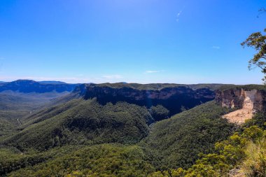 Mavi Dağlardaki Evans Gözcüleri 'nden Grose Vadisi' nin manzarası sık ormanların üzerindeki engebeli ve yıpranmış kumtaşı kayalıklarını vurguluyor..