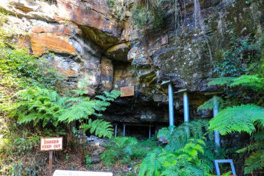 Mavi Dağlar 'daki Manzaralı Dünya turizm merkezi Jamison Vadisi üzerinde orman manzarası ve kumtaşı kayalıkları olan manzaralar sunuyor..