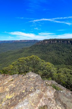 Jamison Vadisi 'nin manzarası. Mavi Dağlar' daki Yüksek Noktalı Gözcü 'den alındı. Ormanlık vadi, uçurum ve geniş yaban arazilerini gösteriyor..