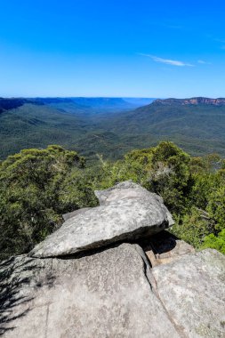 Jamison Vadisi 'nin manzarası. Mavi Dağlar' daki Yüksek Noktalı Gözcü 'den alındı. Ormanlık vadi, uçurum ve geniş yaban arazilerini gösteriyor..