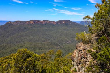Jamison Vadisi 'nin manzarası. Mavi Dağlar' daki Yüksek Noktalı Gözcü 'den alındı. Ormanlık vadi, uçurum ve geniş yaban arazilerini gösteriyor..
