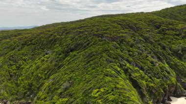 Ağaçla kaplı bir dağdan geriye doğru uçan hava aracı videosu Sharkies Beach ve Forster 'daki Seven Mile Beach' in kayalık bir burunla ayrıldığını gösteriyor. Çekim, kıyı şeridini, okyanusu ve doğal manzarayı dinamik bir hava perspektifinden yakalıyor..