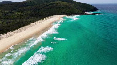 Forster 'daki Seven Mile Beach ve Sharkies Plajı üzerinde uçan hava aracı videosu dağ manzarası ve turkuaz okyanus sularını gösteren bir ağaç gösteriyor. Sahne, doğal sahil güzelliğini ve havanın hareketini yakalıyor..