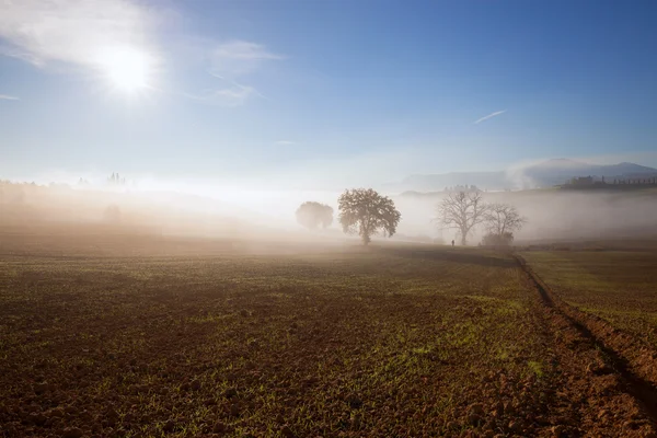 Sunny and foggy countryside landscape — Stock Photo, Image