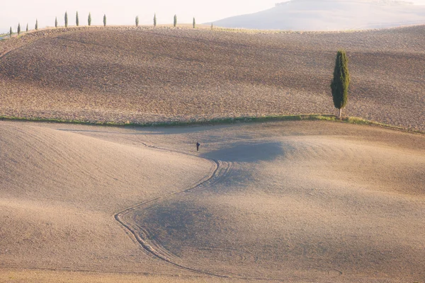 Sunny campagna valle — Foto Stock