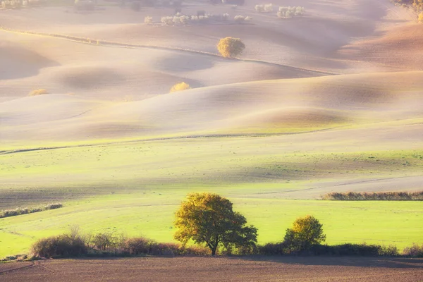 Valle soleado del campo — Foto de Stock