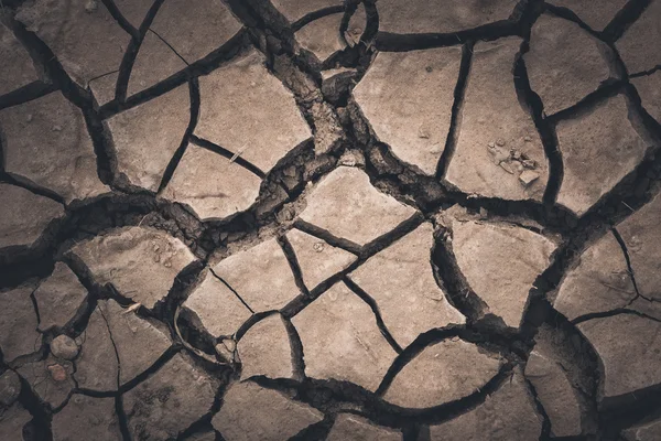 Cracked soil background — Stock Photo, Image