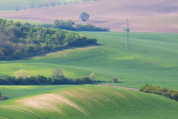 Platteland groene landbouwgrond landschap — Stockfoto