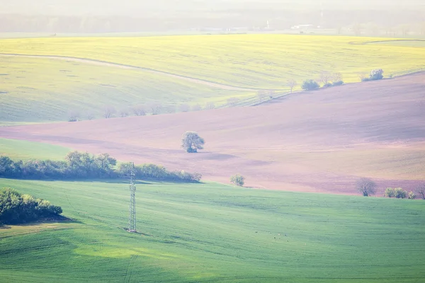 Platteland groene landbouwgrond landschap — Stockfoto