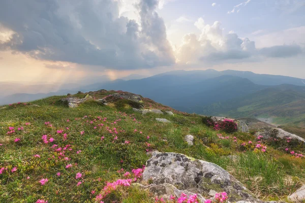 Alpine Berghügel bei bewölktem Sonnenuntergang — Stockfoto