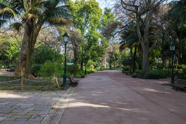 Stadspark op zonnige dag — Stockfoto