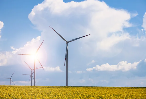 Wind power station at the yellow field — Stock Photo, Image