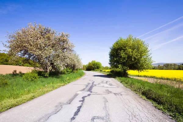 Camino a través del hermoso paisaje rural —  Fotos de Stock