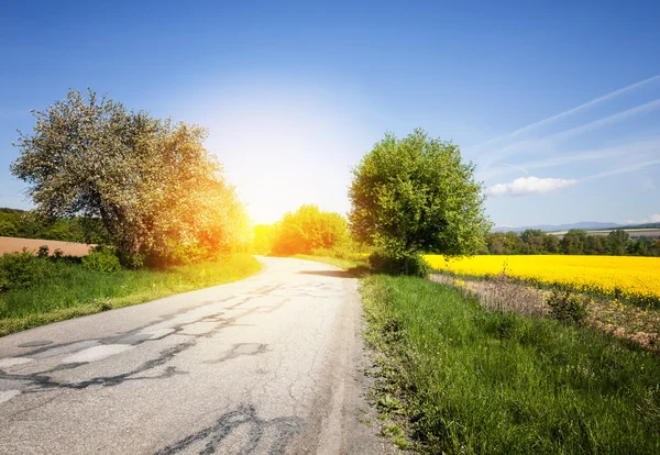 Old road through the beautiful countryside landscape — Stock Photo, Image
