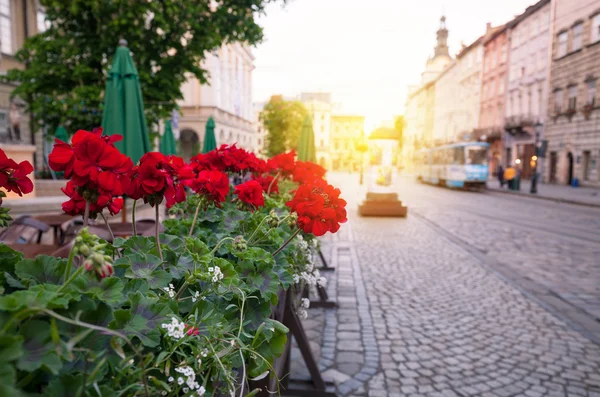 Street of old European city at early morning — Stock Photo, Image