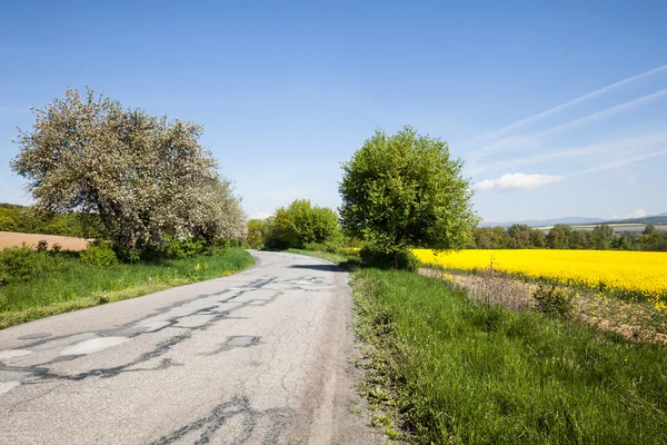 Estrada velha através da bela paisagem rural — Fotografia de Stock