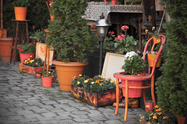 Street café terrass med bord och blommor i europeisk stad — Stockfoto