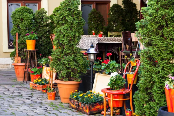 Street café terrass med bord och blommor i europeisk stad — Stockfoto