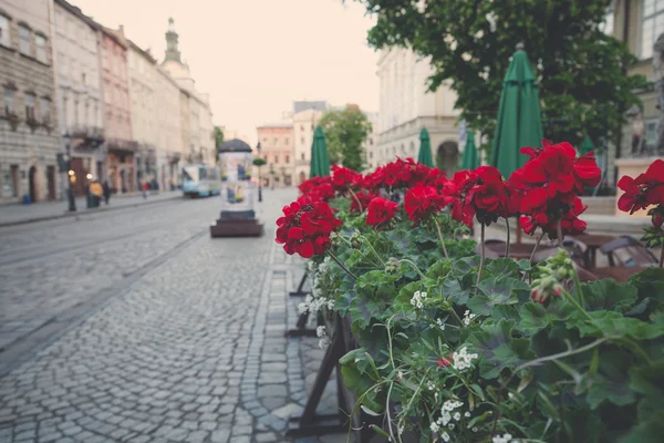 Straße der alten europäischen Stadt am frühen Morgen — Stockfoto