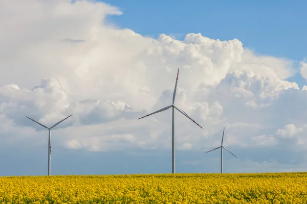 Wind power station at the yellow field — Stock Photo, Image