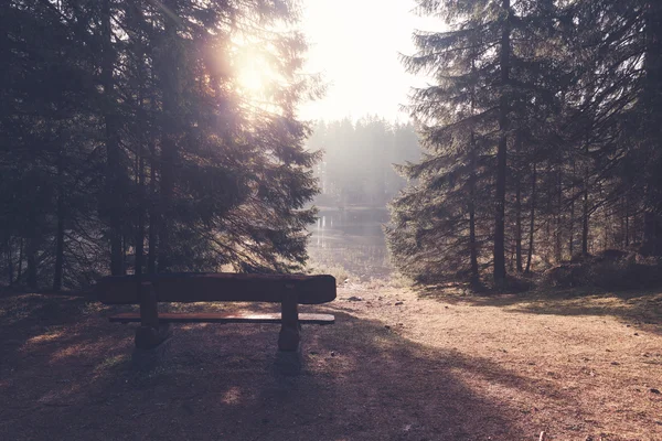 森の湖でベンチ — ストック写真