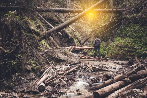 Uomo in piedi sul sentiero tra gli alberi caduti — Foto Stock