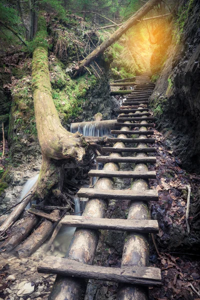 Caminho através do desfiladeiro rochoso — Fotografia de Stock