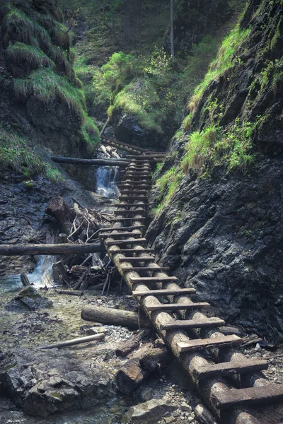 Caminho através do desfiladeiro rochoso — Fotografia de Stock