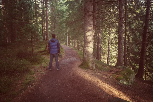 Vintage style image of man standing at the forest path — Stock Photo, Image