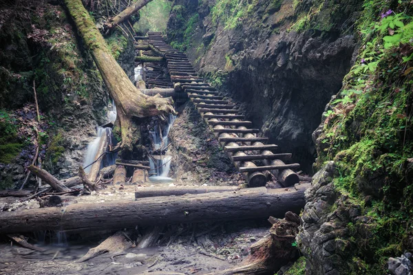 Pad door rotsachtige canyon — Stockfoto