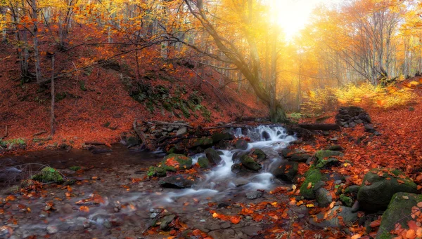 Bach am Herbstwald — Stockfoto