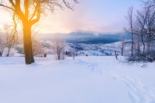 Winter alpinen schneebedeckten Hügeln — Stockfoto