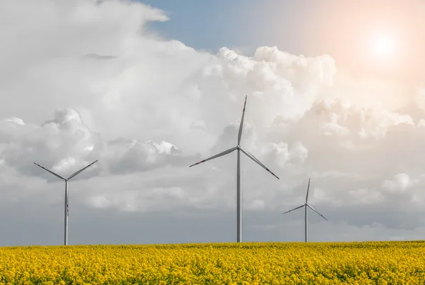 Wind power station at the yellow field — Stock Photo, Image