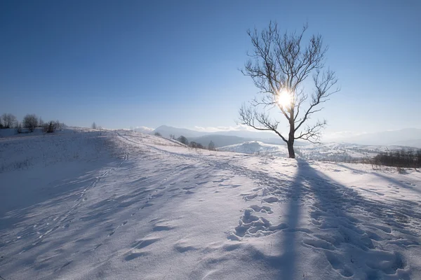 Colline montane invernali nella giornata di sole — Foto Stock