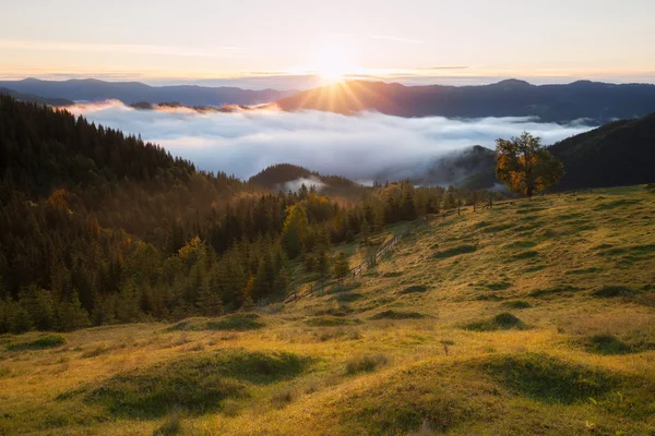 Verão manhã montanhas paisagem rural — Fotografia de Stock