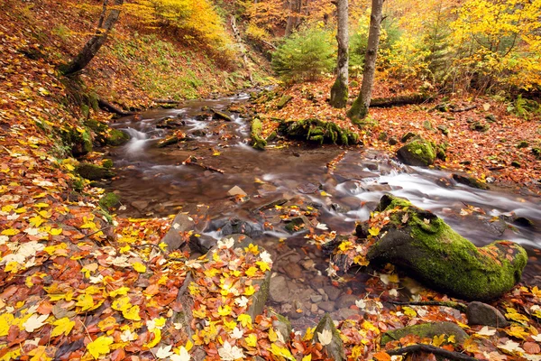 Fiume in autunno colori foresta — Foto Stock