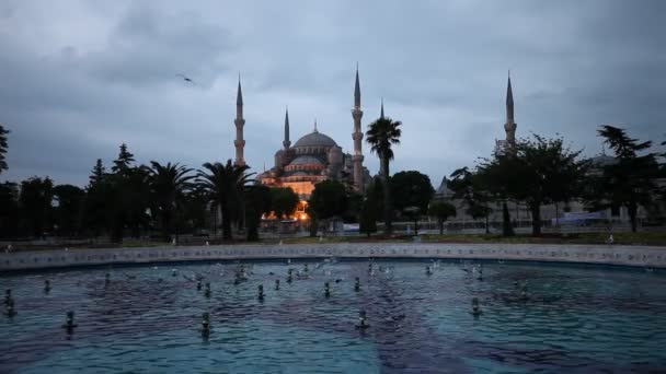 De blauwe moskee (Sultanahmet) in Istanboel — Stockvideo