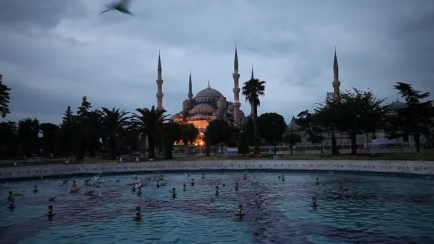 Blue Mosque (Sultanahmet) in Istanbul Turkey — Stock Video