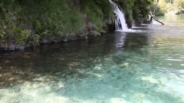 Fish at the lake. Waterfall and underwater life — Stock Video