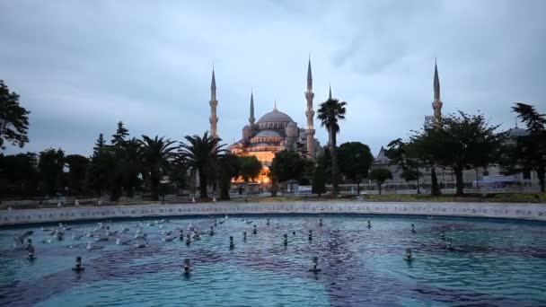 Το Μπλε Τζαμί (Sultanahmet) στην Κωνσταντινούπολη Τουρκία — Αρχείο Βίντεο