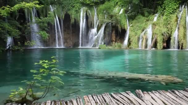 Piękny zielony las wodospad — Wideo stockowe